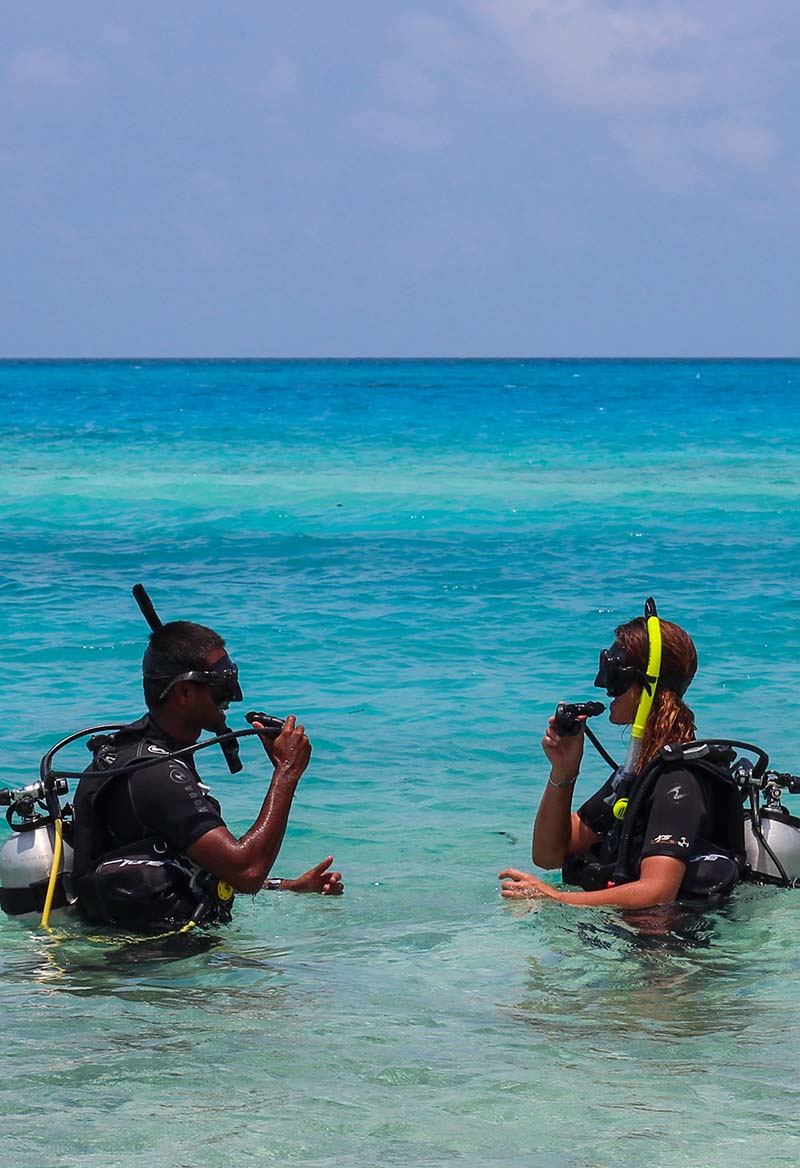 Discover Dive