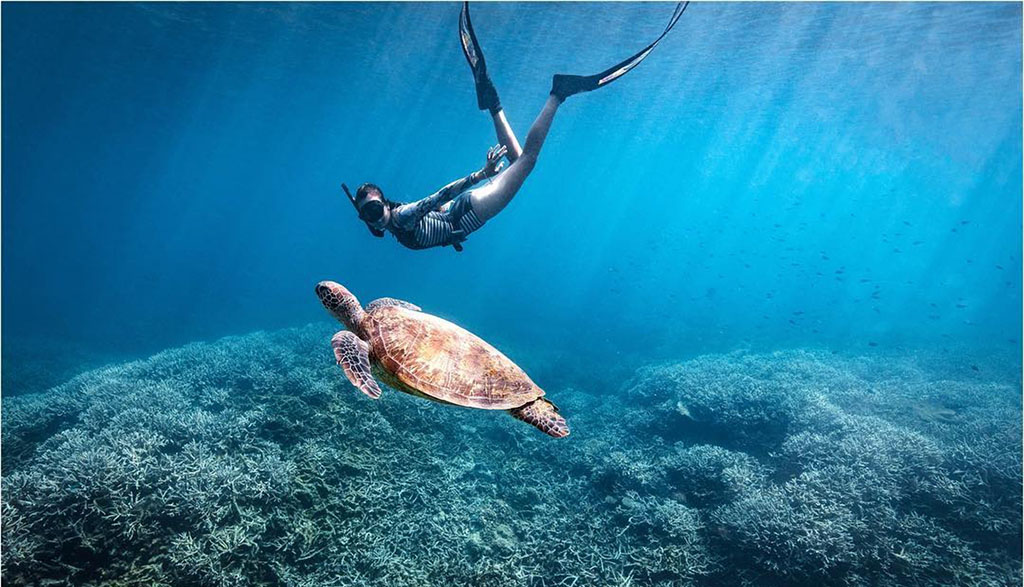 Snorkeling